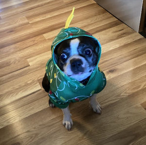 Meet your Posher, Trisha